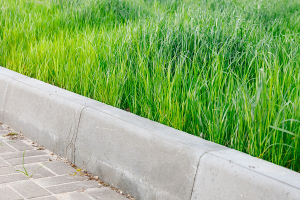 Cost of Concrete Curb Repair in Ooltewah