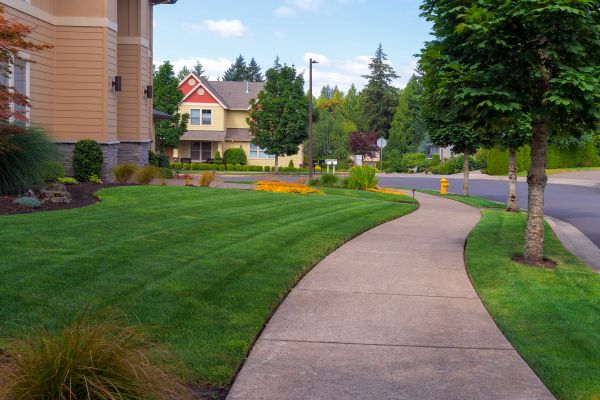 Cost of Sidewalk Patching in Ooltewah