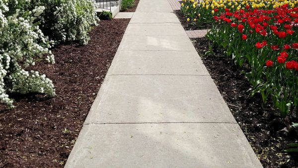 Cost of Concrete Pathway Repair in Ooltewah