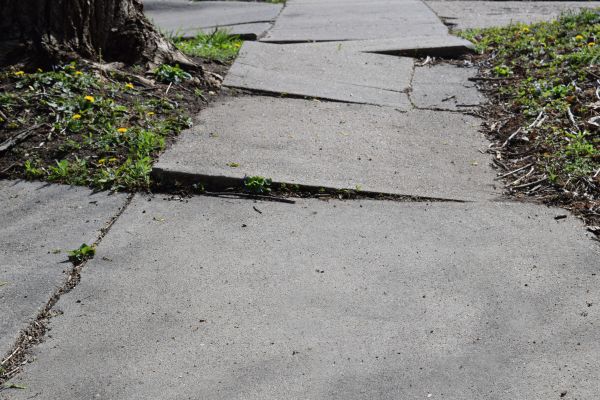 Cost of Trip Hazard Removal in Ooltewah
